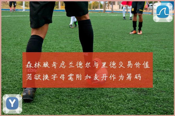 森林狼考虑兰德尔与里德交易价值若欲换字母需附加麦丹作为筹码