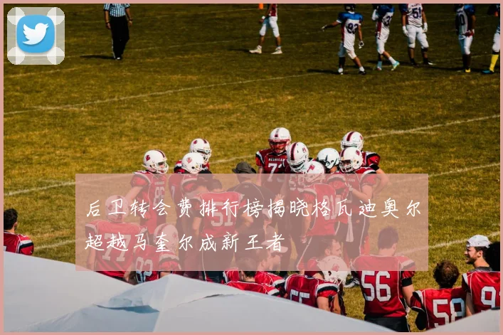 后卫转会费排行榜揭晓格瓦迪奥尔超越马奎尔成新王者